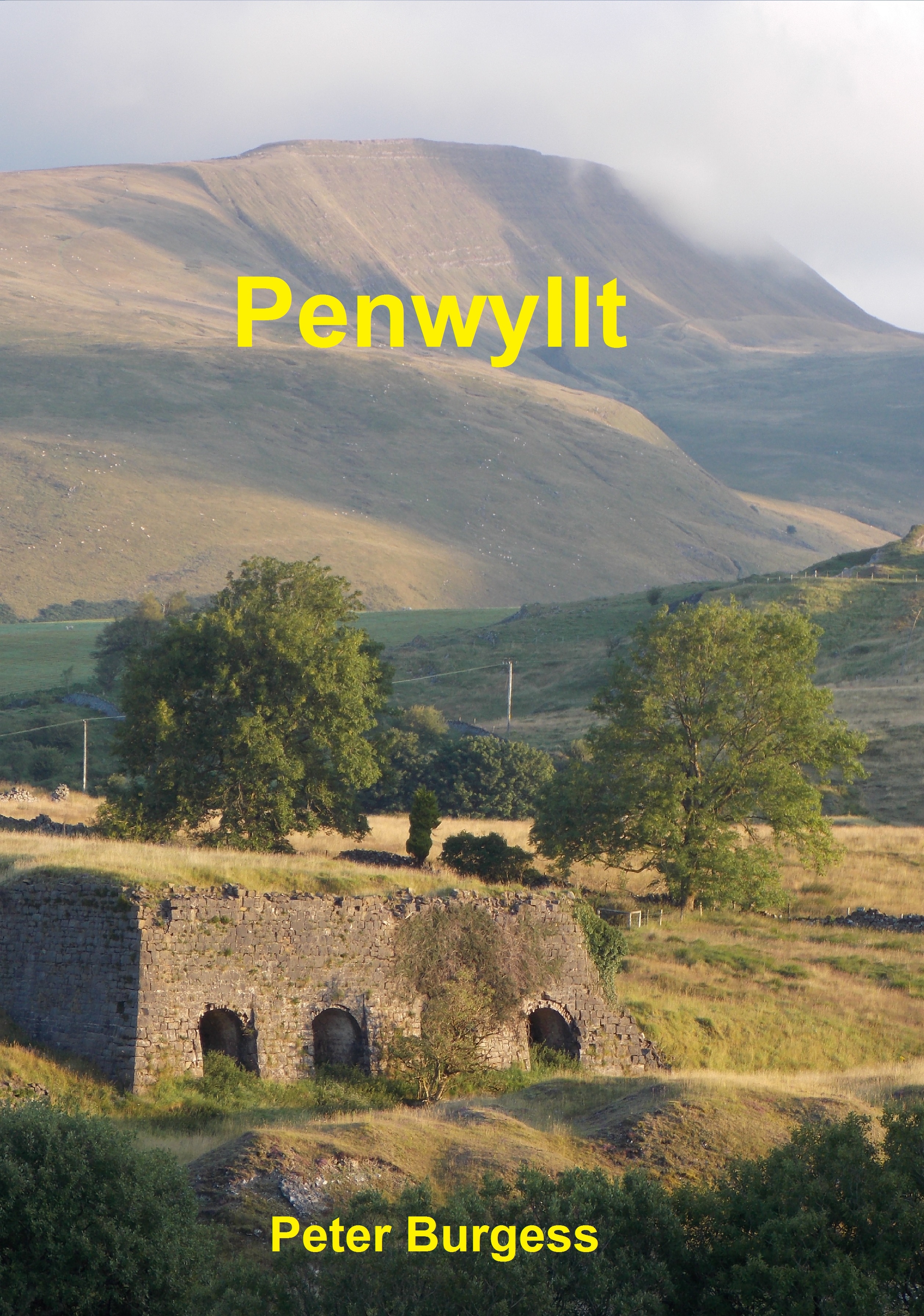 Penwyllt