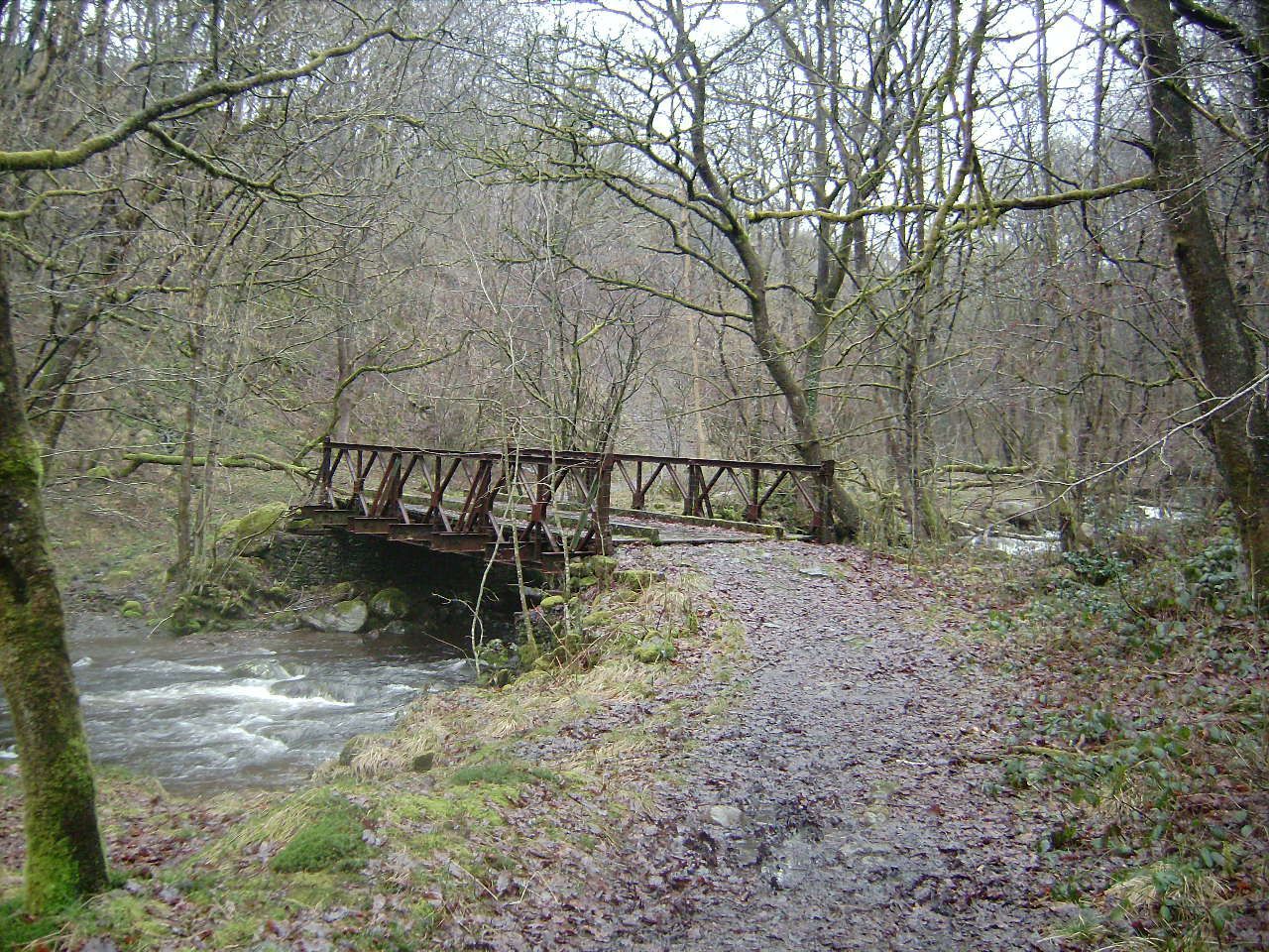 Ystradgynlais Cwm Giedd in the Brecon Beacons National Park (Grey Wolf)